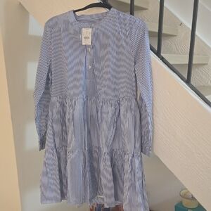 J. Crew Blue and White Striped Shirt Dress